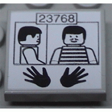 Part 3068bpb0002 Tile 2 x 2 with Prisoner ID Pattern 